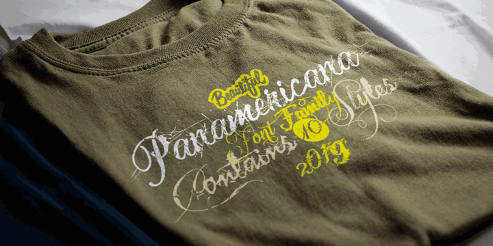 Panamericana Font Poster 10