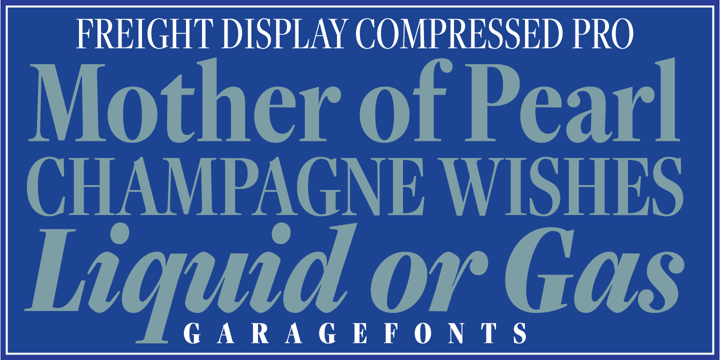 Freight Display Cmp Pro Font Poster 2