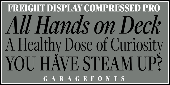 Freight Display Cmp Pro Font Poster 1