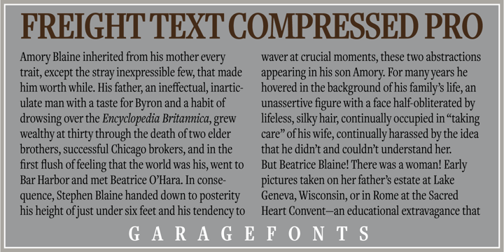 Freight Text Cmp Pro