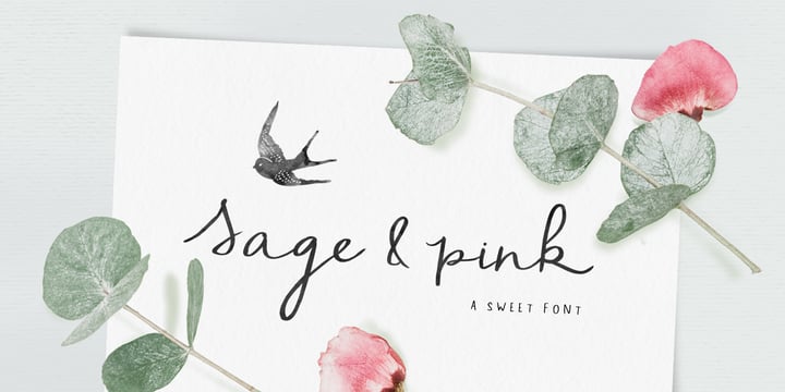 Sage & Pink Font Poster 1
