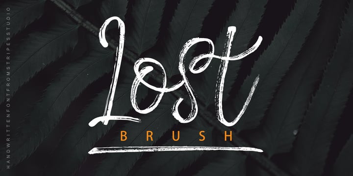 Lost Brush Font Poster 1