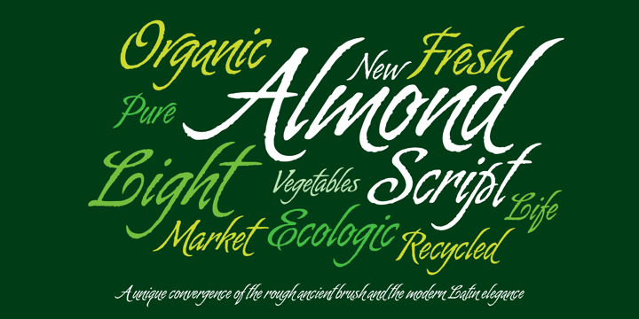 Almond Script Font Webfont And Desktop Myfonts 1680