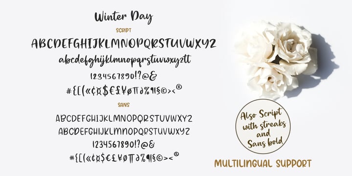 Winter Day Font Poster 8