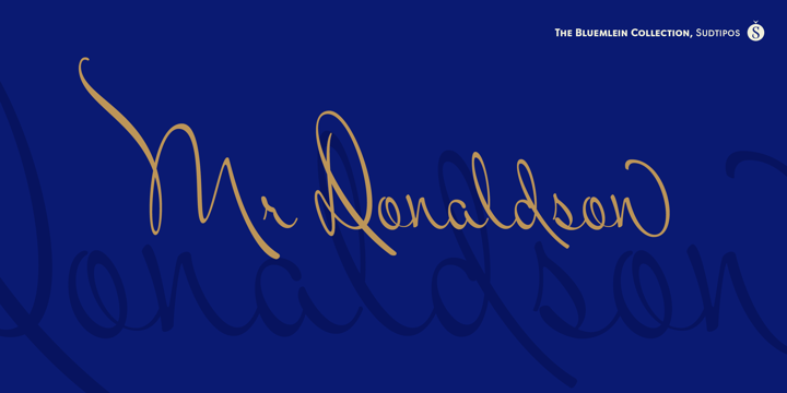 Mr Donaldson Pro Font Poster 1