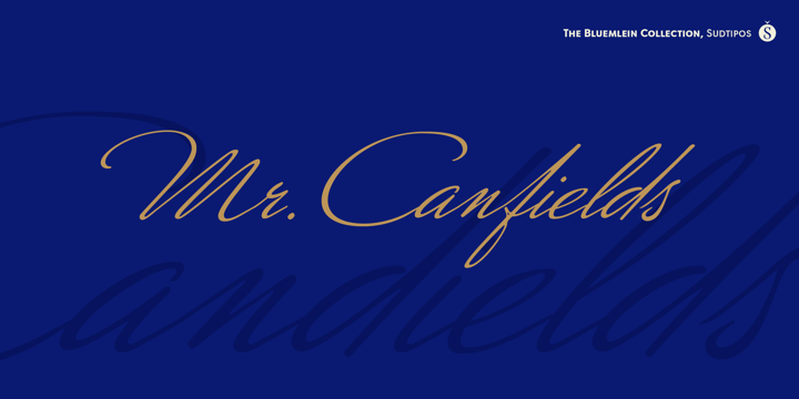Mr Canfields Pro Font Poster 1