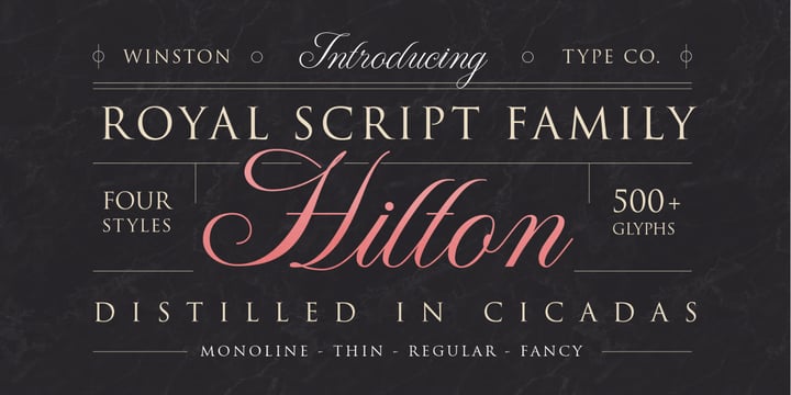 WT Hilton Script Font Poster 1