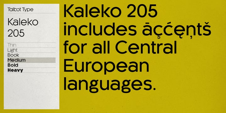 Kaleko 205 Font Poster 8