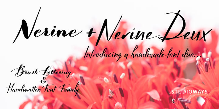 Nerine Font Poster 4