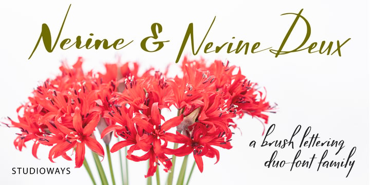 Nerine Font Poster 1