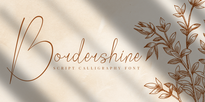 Bordershine Script Font Poster 1