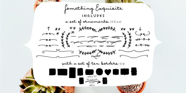 Something Exquisite Font Poster 4
