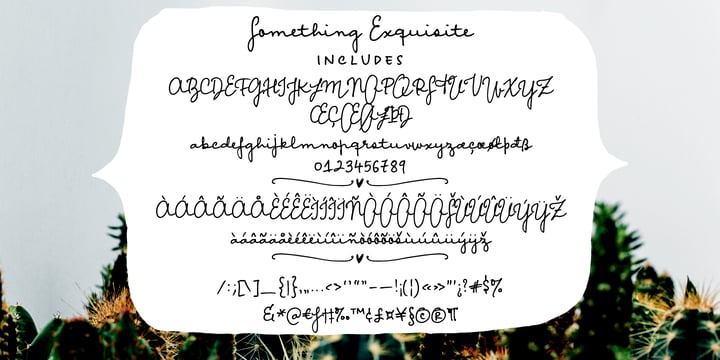 Something Exquisite Font Poster 2