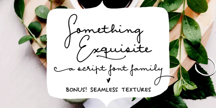 Something Exquisite Font Poster 1