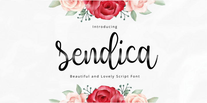 Sendica Font Poster 2