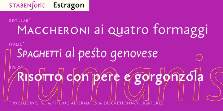 Estragon Pro Font Poster 4