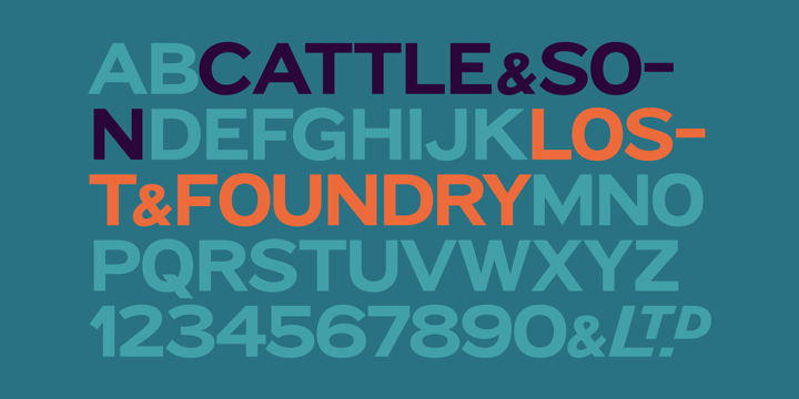 Lost and Foundry Font Poster 2