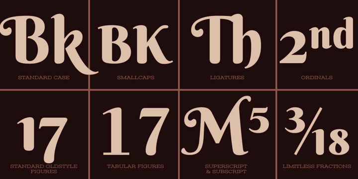Berkshire Pro Font Poster 6