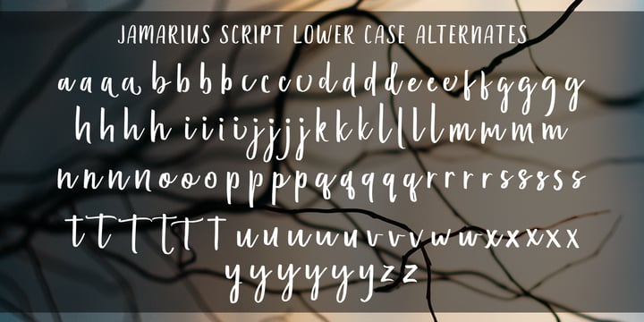Jamarius Script Font Trio Font Poster 5
