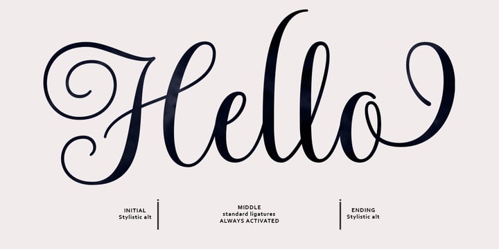 Spalding Script Font Webfont Desktop MyFonts