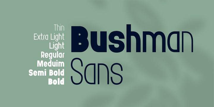 Bushman Font Poster 4