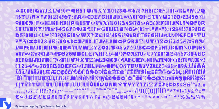 Cybermontage Font Poster 7