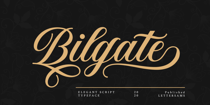 Bilgate Script Font Poster 1