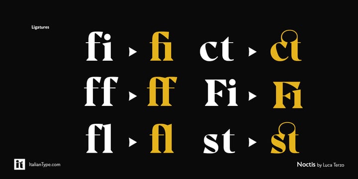 Noctis Font Poster 10