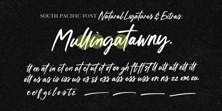 South Pacific Font | Webfont & Desktop | MyFonts