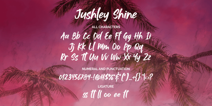 Jushley Shine Font Poster 10