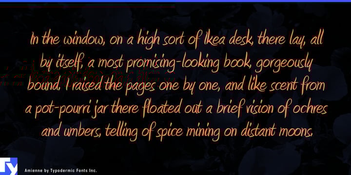 Amienne Font Poster 5