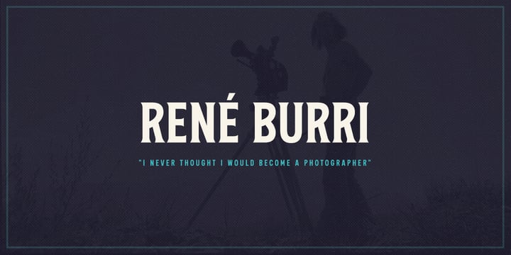 The Bystander Collection