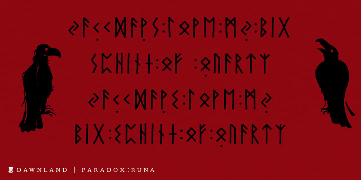 Paradox Runa Font Poster 2