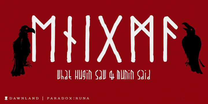 Paradox Runa Font Poster 1