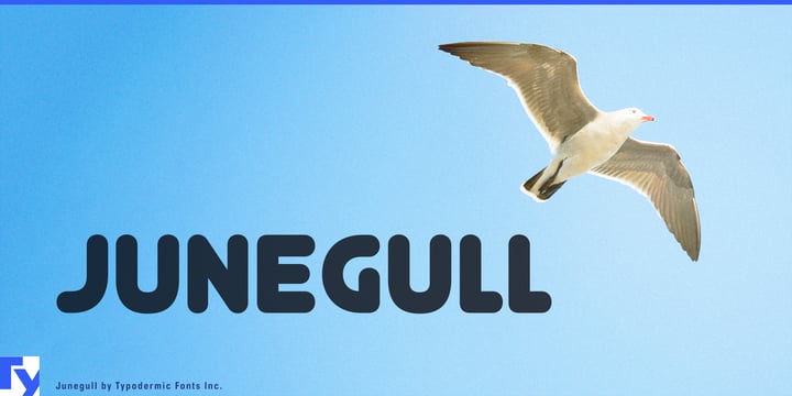 Junegull Font Poster 1