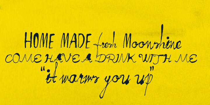 FT Moonshine Script Font Poster 1