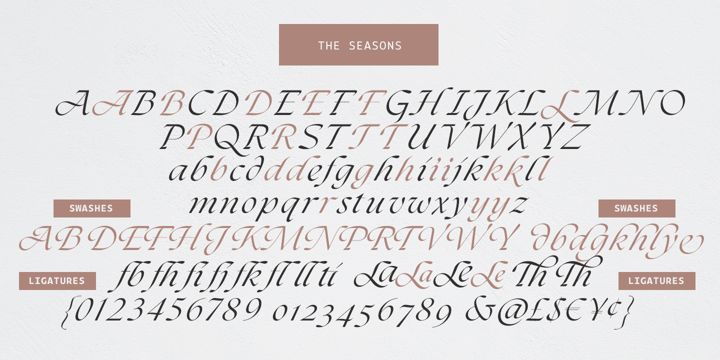 The Seasons Font Poster 15