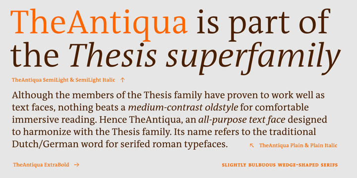 TheAntiqua