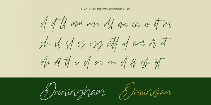 Williamson Font | Webfont & Desktop | MyFonts