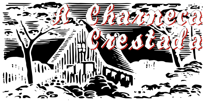 Beware The Neighbors