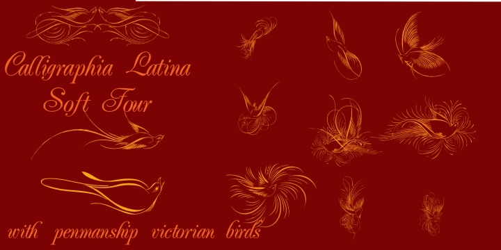 Calligraphia Latina Soft 4 Font | Webfont & Desktop | MyFonts