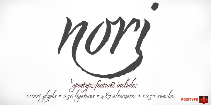 Nori Font Poster 6