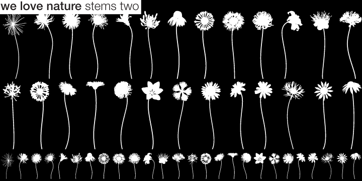 We Love Nature Stems Two Font Poster 4