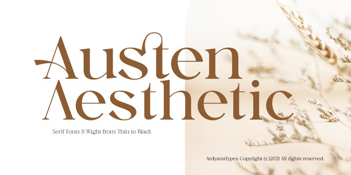 Austen Aesthetic Font Poster 1