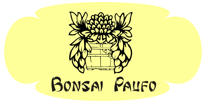 Bonsai Paufo Font Poster 13