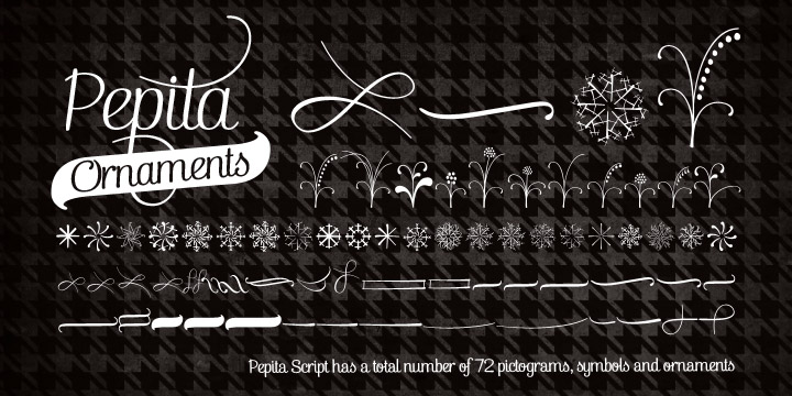 Pepita Script Font Poster 4