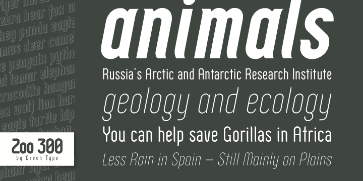 Zoo 300 Font Poster 4
