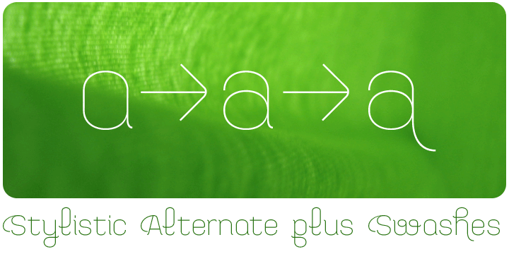 Bayadera 4F Font Poster 4