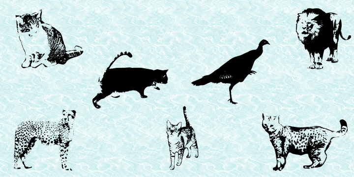 Cat e Poultry Font Poster 2