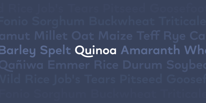 Quinoa Font Poster 6